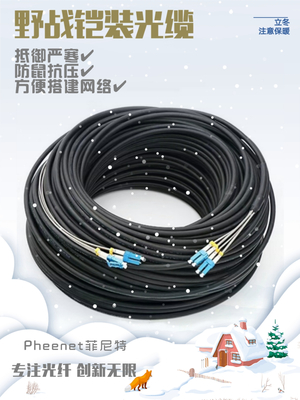 針對網(wǎng)絡(luò)技術(shù)與弱電工程的資料有哪些